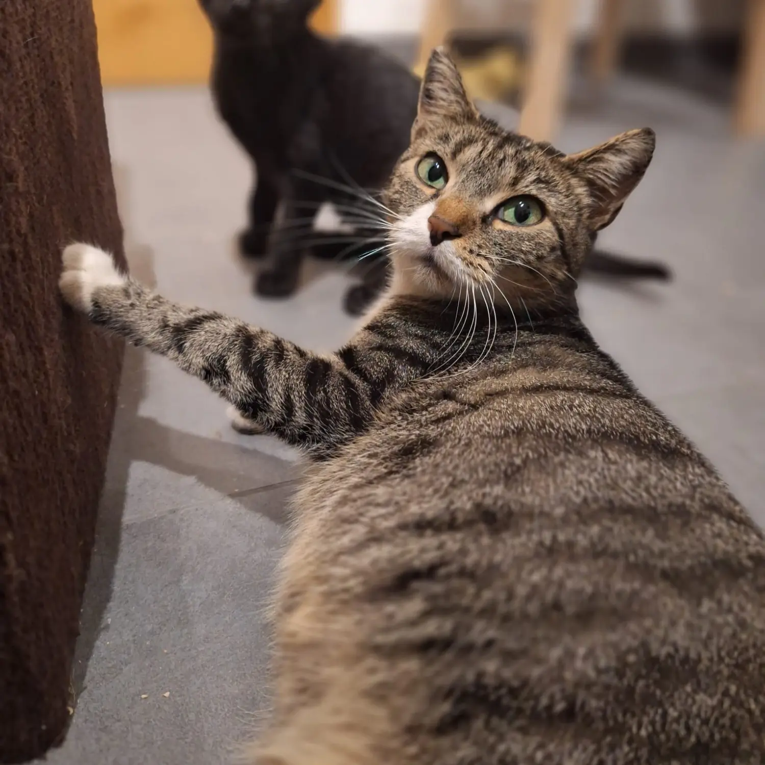 Whats App Bild 2025 10 15 um 20 52 42 017b3832