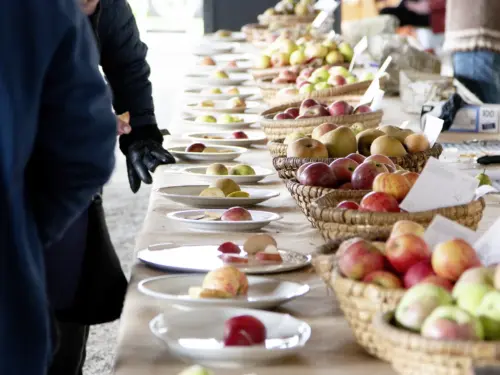 Apfel birnentage 1