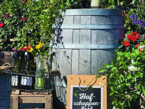 Artikelbild redaktioneller Beitrag Hofschoppenfest