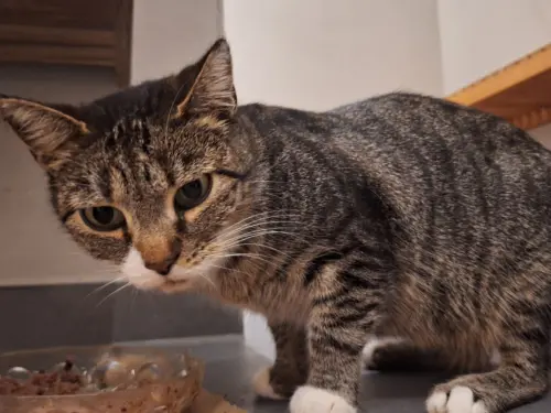 Whats App Bild 2025 10 15 um 20 52 42 09fdc3cd