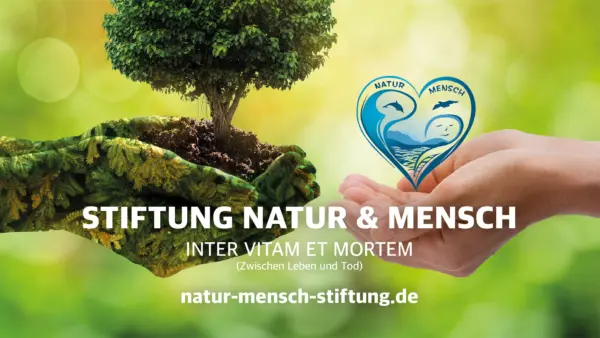 Stiftung NM HG 1920x1080px