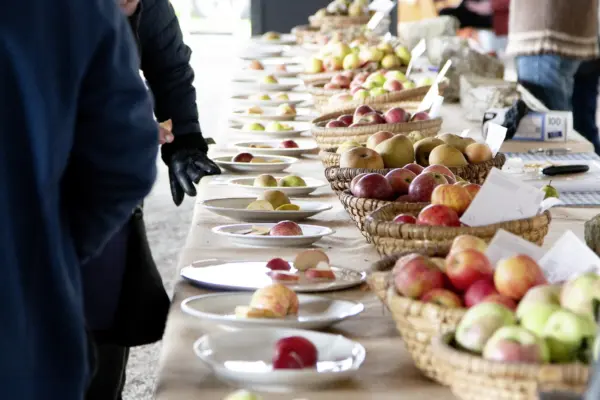 Apfel birnentage 1