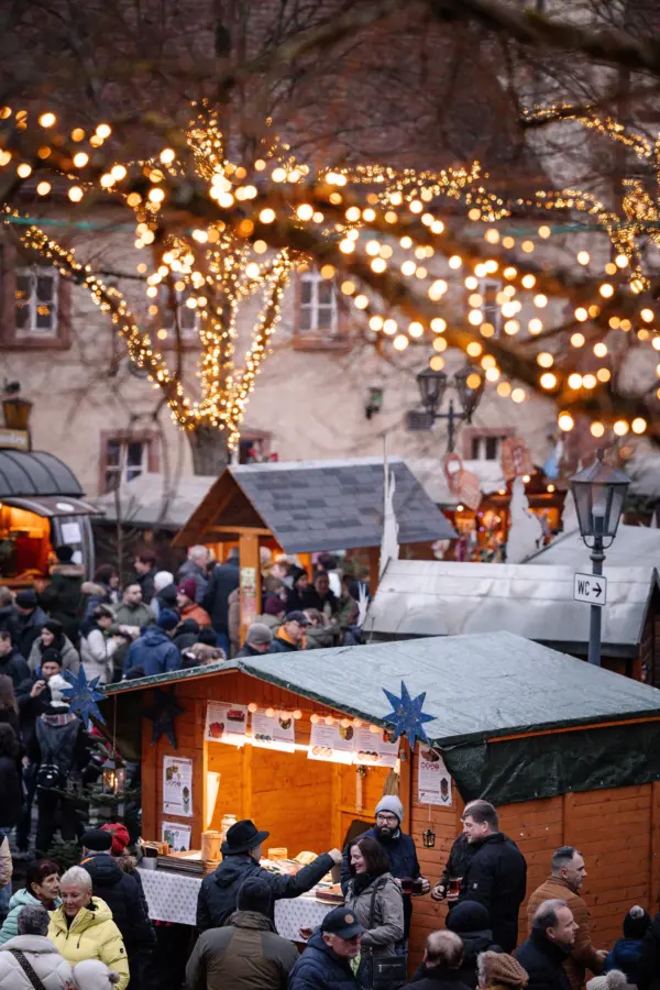 Schlossweihnacht 2024 Stadt Tauberbischofsheim Marina Nolde 24 verkleinert