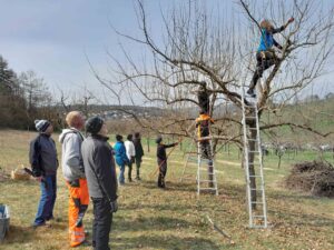 2025 04 Streuobstschnittkurs