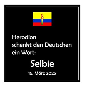 Selbie 1 Kopie