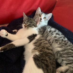 Whats App Bild 2025 09 28 um 18 41 17 e5c74ff3