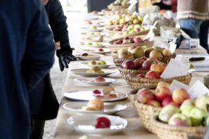 Apfel birnentage 1