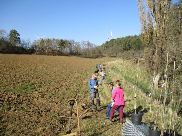 Tauberländer Bio-Streuobstwiesen e. V.