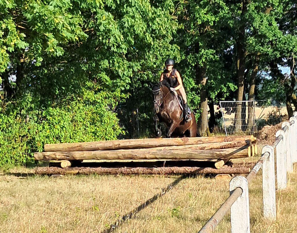 Reitturnier in Remlingen