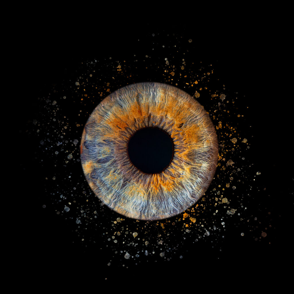 Iris-Fotografie beim Saatmarkt Remlingen