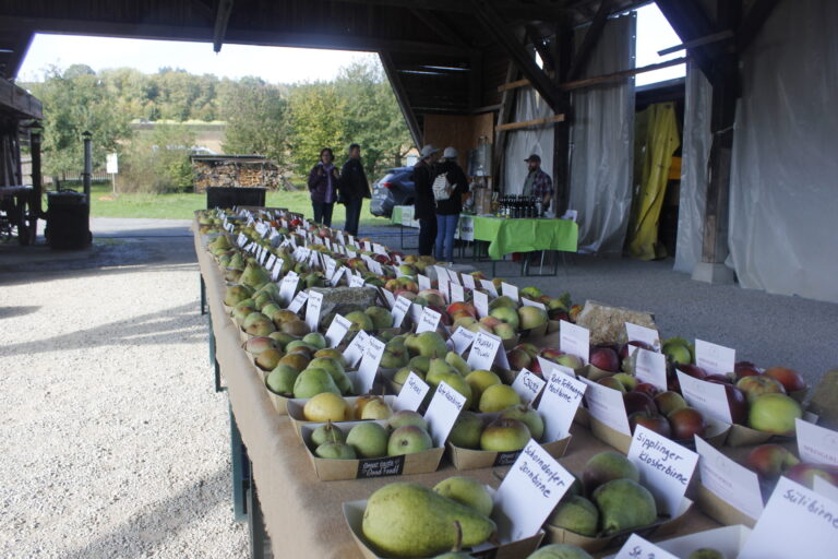 Apfel- und Birnentage Odenwälder Freilandmuseum